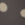 Brown Dot